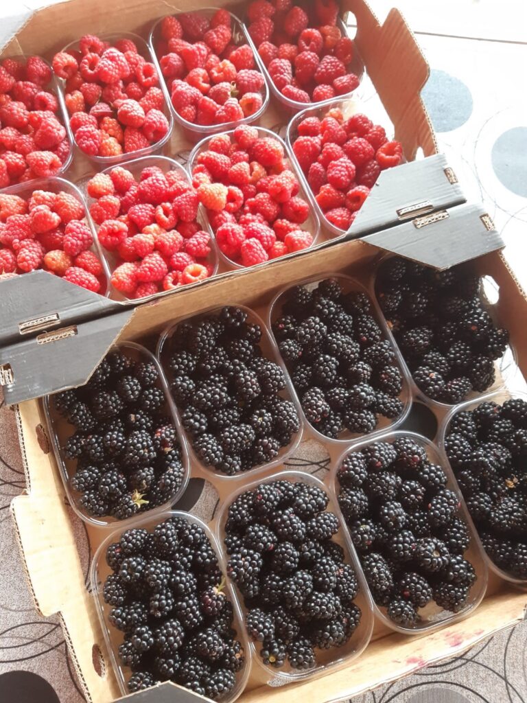 imagen cercana de cajas con envases de diversas frambuesas